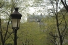 Montmartre Foliage